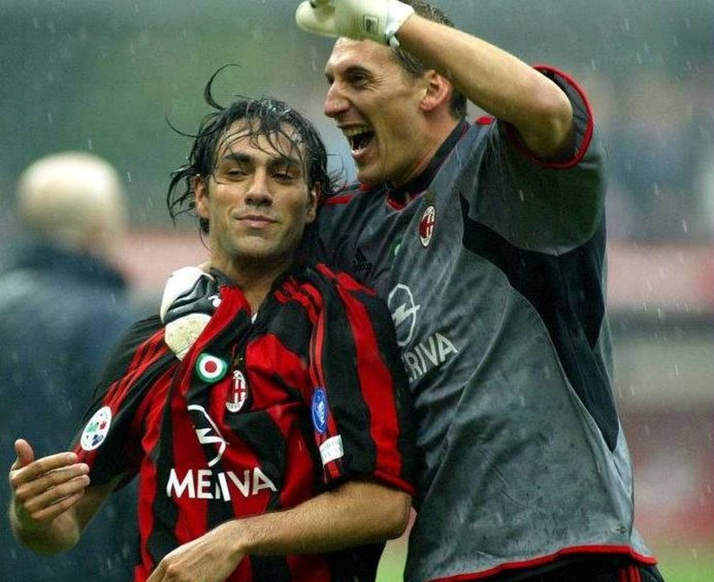 杨鸣倾向于 杨鸣倾向于